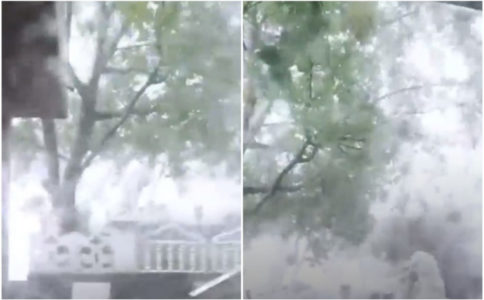 KATAKLIZMA U MOSTARU, BLOKIRANI PUTEVI Olujni vjetar nosio sve pred sobom, vjetar oborio stabla (VIDEO)