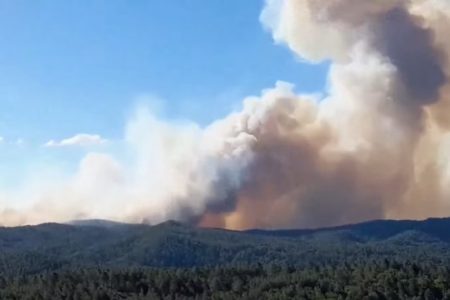 POŽAR U FRANCUSKOJ DIVLJA ŠUMAMA I OBALAMA SREDOZEMNOG MORA Vatrogasci se na sve načine bore sa vatrom (VIDEO)