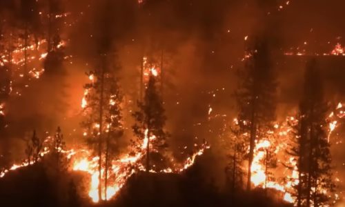 DIVLJA VATRA GUTA SVE PRED SOBOM Na zapadu SAD izbili šumski požari, evakuisano više od 100 kuća (VIDEO)