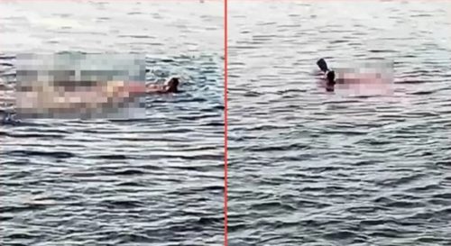 (UZNEMIRUJUĆI VIDEO) AUSTRIJANKA UMRLA POSLIJE NAPADA AJKULE Vrištala u krvavoj vodi, otkinuta joj ruka i noga, turisti mogli samo nijemo da posmatraju tragediju