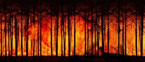 POŽAR SE PROŠIRIO U REKORDNOM ROKU Vatra u Francuskoj zahvatila 750 hektara u dolini rijeke Ardeš