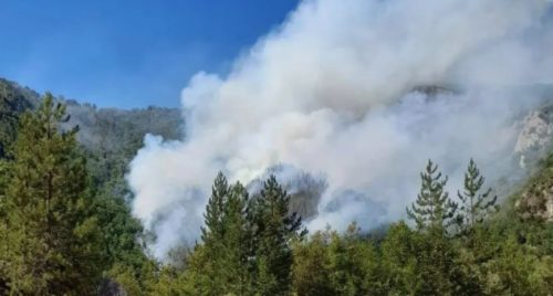 VATROGASCI UDRUŽENIM SNAGAMA NASTOJE DA KUĆE NE DOĐU U OPASNOST Aktiviran šumski požar u bilećkom selu Korita