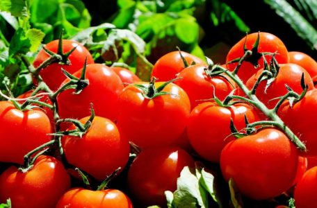 RIZNICA ZDRAVLJA Razlozi zbog kojih bi trebalo da jedete paradajz svaki dan