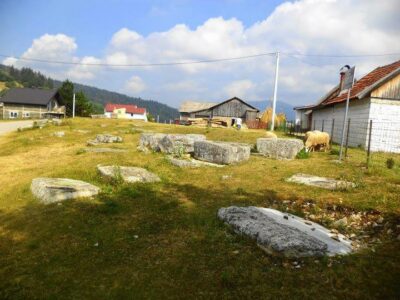 NEKROPOLE U KOKOŠINJCU Nacionalne spomenike stare u BiH „održavaju“ krave, ovce i kokoši