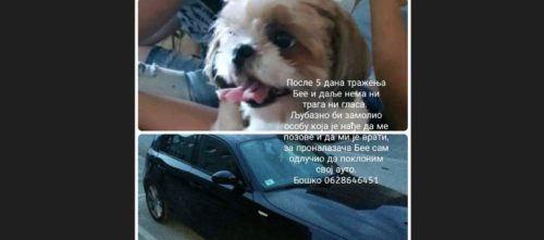 SVE ZA LJUBAV NJUŠKICA Čovjek iz Srbije daje BMW za psa, njegova priča pokrenula lavinu emocija (FOTO)
