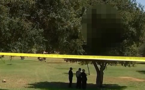 JEZIVO OTKIĆE U LOS ANĐELESU Pronađeno tijelo obješeno o drvo i zapaljeno (VIDEO)