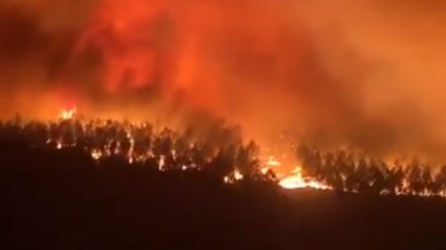 ŠUMSKI POŽARI DIVLJAJU FRANCUSKOM Vatra uništila 16 kuća (VIDEO)