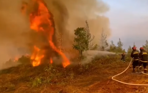 DRAMATIČNO U PORTUGALU 2.000 vatrogasaca se bori sa požarima, Vlada proglasila stanje pripravnosti