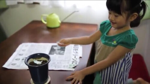 OVO JOŠ NISTE VIDJELI Japan štampa novine iz kojih niče cvijeće (VIDEO)