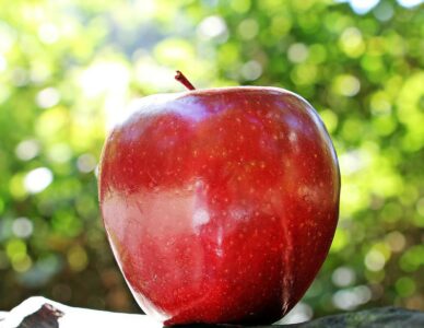 NUTRICIONISTI PORUČUJU: Jedite jabuke sa korom