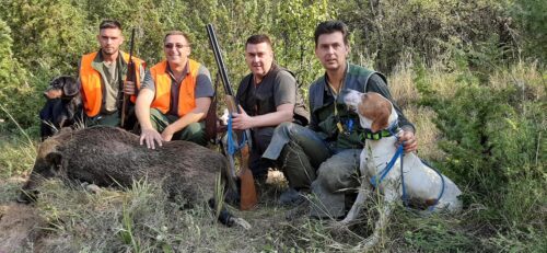 TOKOM SEPTEMBRA ĆE SE ISKLJUČIVO LOVITI DIVLJA SVINJA Počela sezona lova u Republici Srpskoj