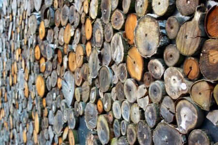 CIJENE SU OTIŠLE U NEBO Paleta drva u Srpskoj dostiže 200 evra