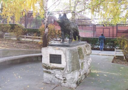 NEVJEROVATNA I ISTINITA PRIČA O KERUŠI GABI U zoološkom vrtu u Beogradu spomenik su joj podigli još za života, a tamo se i danas nalazi