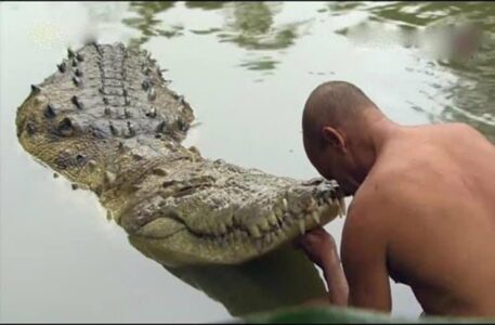 VJEROVALI DA JE BIO BOŽANSKI Sahranili krokodila koji je čuvao hram 80 godina, svi su plakali (FOTO)