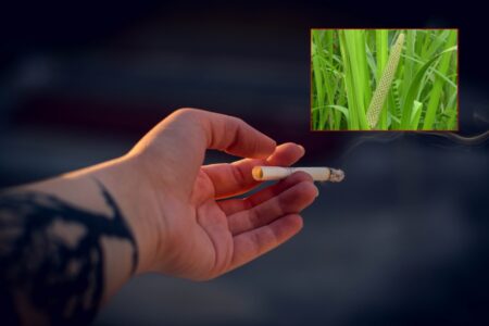 BILJKA KOJA JE BROJ 1 ZA ODVIKAVANJE OD ZAVISNOSTI Ogadiće vam cigarete: Travar tvrdi da pomaže i kod „skidanja“ sa kokaina