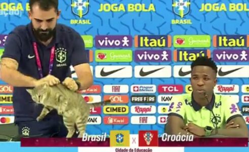 PORTPAROL POSTUPKOM ŠOKIRAO JAVNOST Mačka prekinula konferenciju fudbalske reprezentacije Brazila (VIDEO)