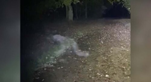 „UPRAVO SAM VIDJELA DUHA“ Šetali psa i vidjeli demonsku figuru kako puzi preko staze seoskog parka (VIDEO)