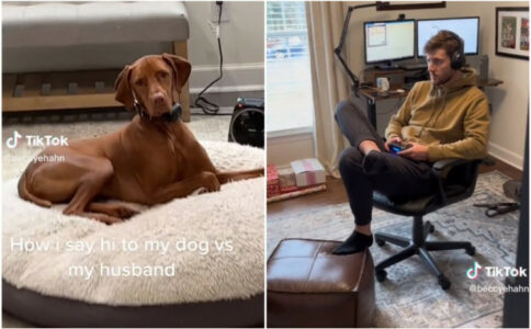 VIDEO NASMIJAO SVE NA TIKTOKU Žena pokazala kako pozdravlja psa kada dođe kući, a kako supruga