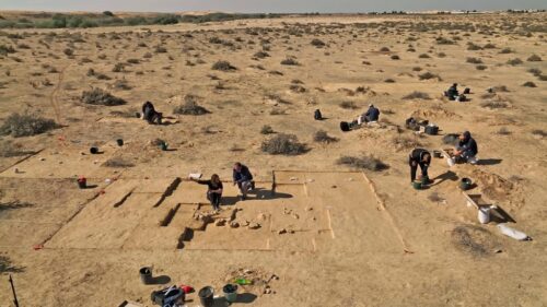 ARHEOLOGIJA I IZRAEL: Pronađena praistorijska nojeva jaja za kuvanje