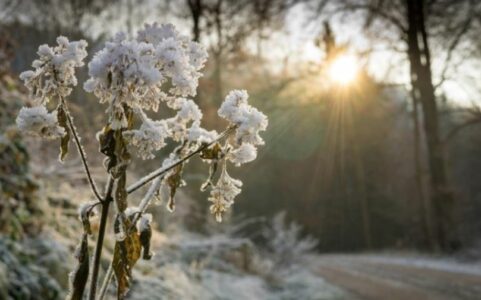 VREMENSKA PROGNOZA ZA 3. DECEMBAR Stiže zahlađenje: Ujutru susnježica i snijeg