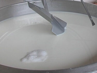 Za podršku proizvodnji mlijeka u posljednjih 20 godina dato više od 800 miliona KM