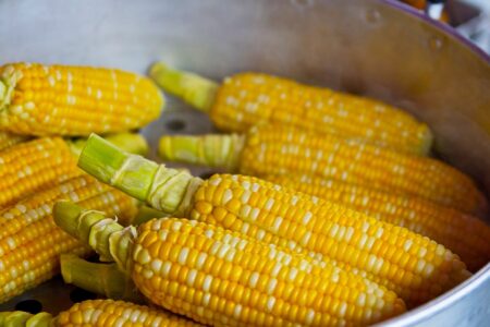 Vraćeno sjeme kukuruza iz Italije zbog slabe klijavosti