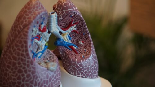 Ovo su znakovi da se vaša pluća nisu u potpunosti oporavila od COVIDA-19