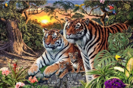 FOTOGRAFIJA KOJA JE ZBUNILA MNOGE Koliko tigrova možete pronaći?