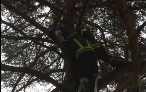 BANJALUČKI VATROGASCI U AKCIJI Spasili dječaka koji se popeo na drvo