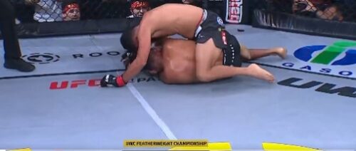 UZNEMIRUJUĆI VIDEO! UFC borcu puklu uvo tokom meča