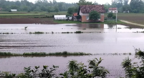 VRBAS SE IZLIO Šest zaplavljenih domaćinstava na području opštine Srbac