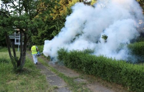 ZAŠTITITE PČELINJA DRUŠTVA Danas i sutra akcija zaprašivanja komaraca u Banjaluci