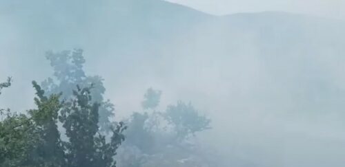 UŽAS U GACKU Krave stradale od strujnog udara prouzrokovanog požarom (VIDEO)