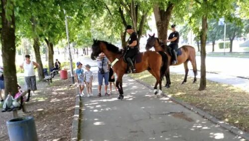 Konji Žandarmerije Srpske ponovo u centru pažnje građana