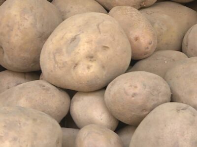 U Srpsku zabranjen uvoz 43,3 tone krompira iz Austrije