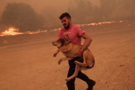 „ZA MENE JE ON HEROJ SVAKOG DANA“ Evo ko je hrabri Grk koji je spasavao životinje iz vatrene stihije (FOTO)