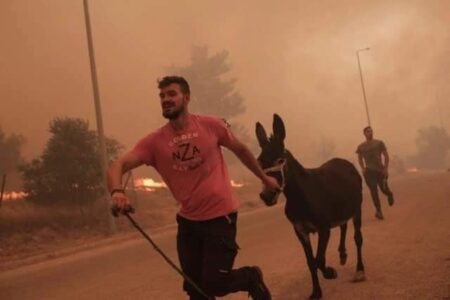 „ZA MENE JE ON HEROJ SVAKOG DANA“ Evo ko je hrabri Grk koji je spasavao životinje iz vatrene stihije (FOTO)