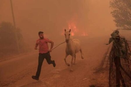 U PLAMENU GRČKE ON JE HEROJ Rizikovao život kako bi izbavio životinje iz vatrene stihije (FOTO)