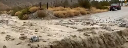 APOKALIPTIČNI PRIZORI IZ KALIFORNIJE Tropska oluja Hilari lomi drveće, putevi poplavljeni (VIDEO)