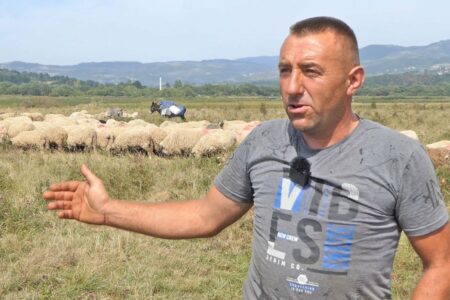 Stočar iz Bugojna prodaje 270 ovaca i okreće se drugom biznisu: „Dajem ispod cijene“