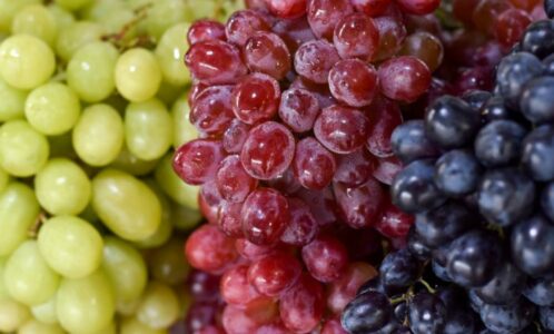 Zeleno, crno ili crveno grožđe: Po čemu se razlikuju i koje je najzdravije?
