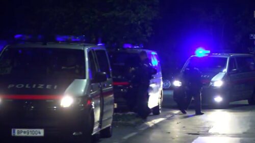 DOJAVA O BOMBI Mladić iz BiH digao bečku policiju na noge