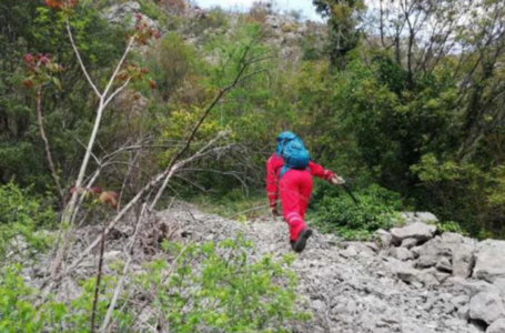 U šumi kod Bosanskog Grahova pronađeno 9 državljana Turske, od kojih je sedmoro djece
