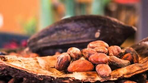 MOGUĆE POSKUPLJENJE ČOKOLADE Kakao najskuplji za posljednjih 46 godina