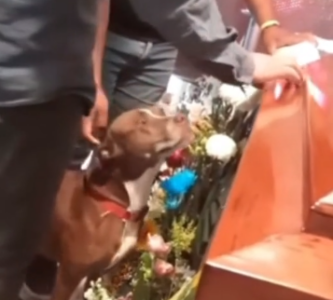 Snimak koji će vas dovesti do suza: Pas se oprostio sa vlasnikom (VIDEO)