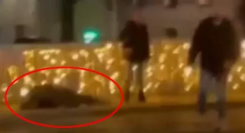 (UZNEMIRUJUĆI VIDEO) Kriminalac pretukao djevojku i čovjeka koji je pokušao da joj pomogne