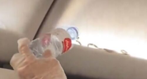 OBJAVLJEN DRAMATIČAN VIDEO Zmija otkrivena u kabini aviona tokom leta