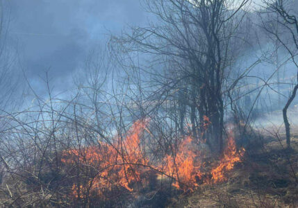 (FOTO) PRIJETIO TRAFOSTANICI I KUĆAMA Požar u Milićima ugašen brzom intervencijom vatrogasaca