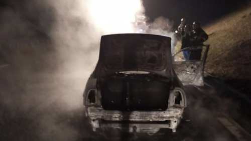 (FOTO) UHAPŠEN PIROMAN U NOVOM SADU Zapalio šest automobila, pa pokušao i policijski