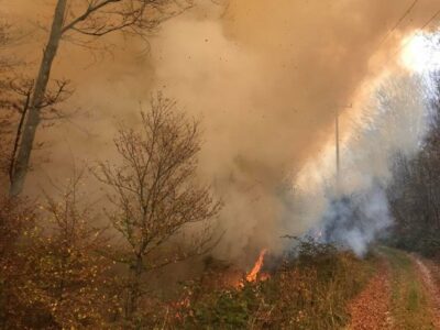 VELIKI POŽAR NA BJELAŠNICI Vatrogasci pokušavaju obuzdati širenje vatre na okolna područja